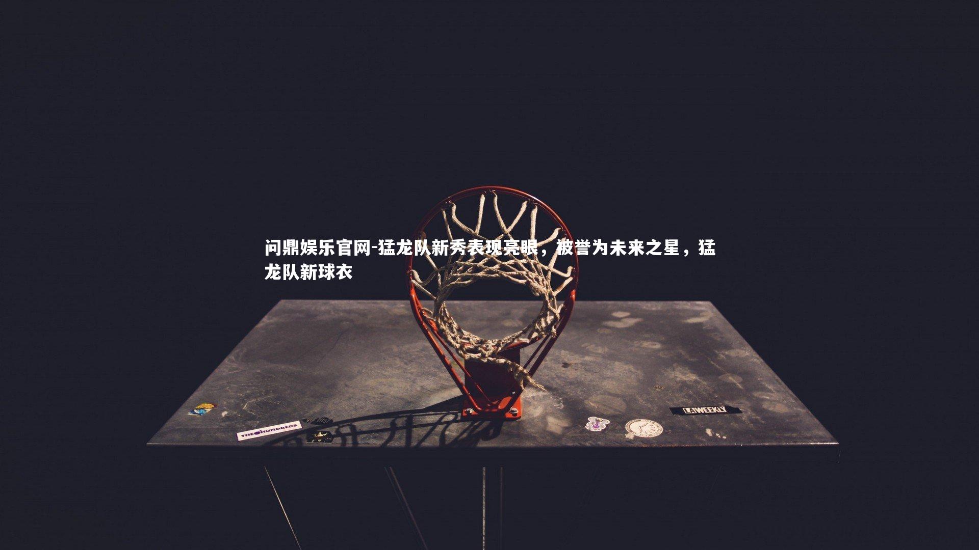 猛龙队新秀表现亮眼，被誉为未来之星，猛龙队新球衣